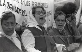 Foto 341: Fotografía de María del Rosario Cerruti, Hebe de Bonafini y Buscarita Roa