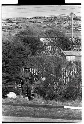 Foto 048: Fotografía de la guerra de Malvinas