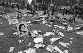Foto 257: Fotografía de la Plaza de Mayo luego de una manifestación