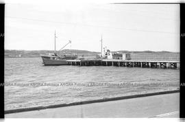 Foto 029: Fotografía de la guerra de Malvinas